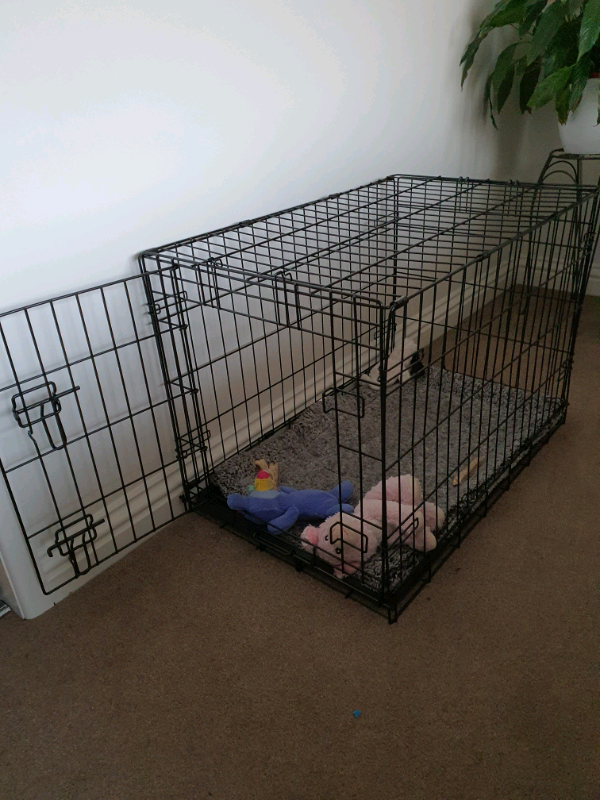 medium size dog cage